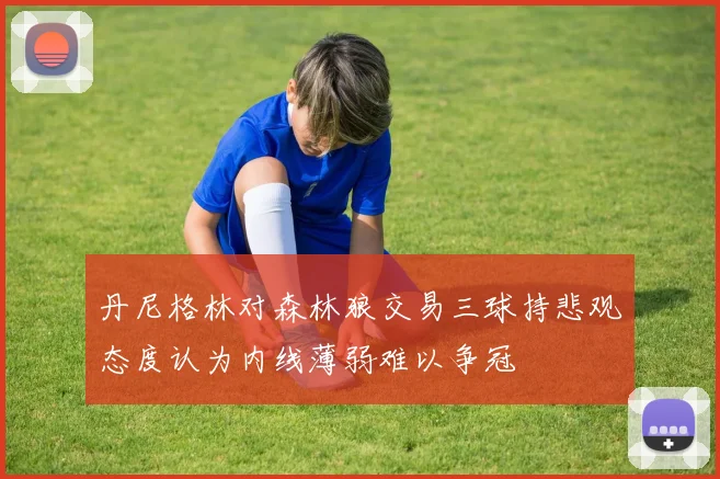 丹尼格林对森林狼交易三球持悲观态度认为内线薄弱难以争冠